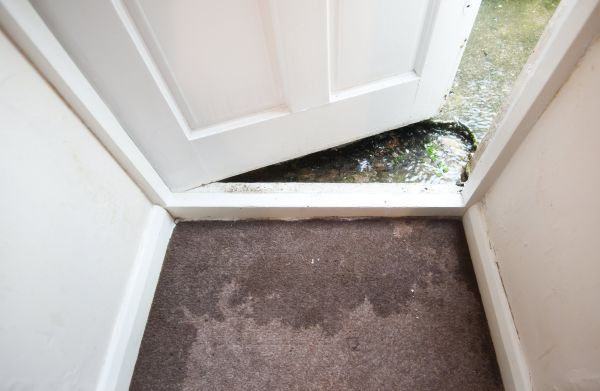 Cost of Wet Carpet Restoration in Monroe