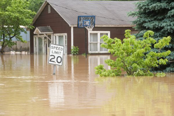 Cost of Storm Restoration Service in Monroe