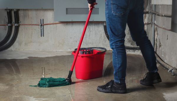 Cost of Flooded Basement Cleanup in Monroe