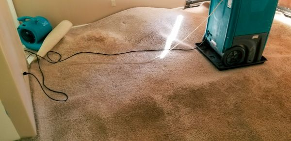 Cost of Flood Damage Cleanup in Monroe