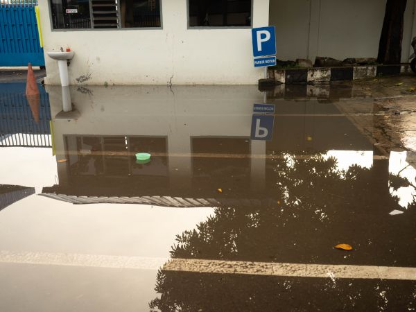 Cost of Storm Damage Repair in Monroe