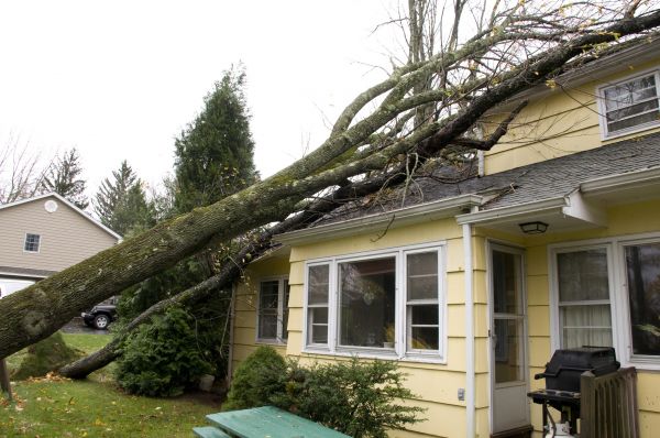 Cost of Storm Damage Mitigation in Monroe